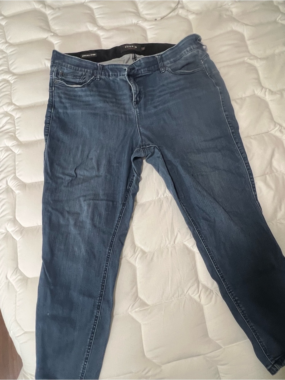 torrid Dark Wash High-Rise Skinny Jeans